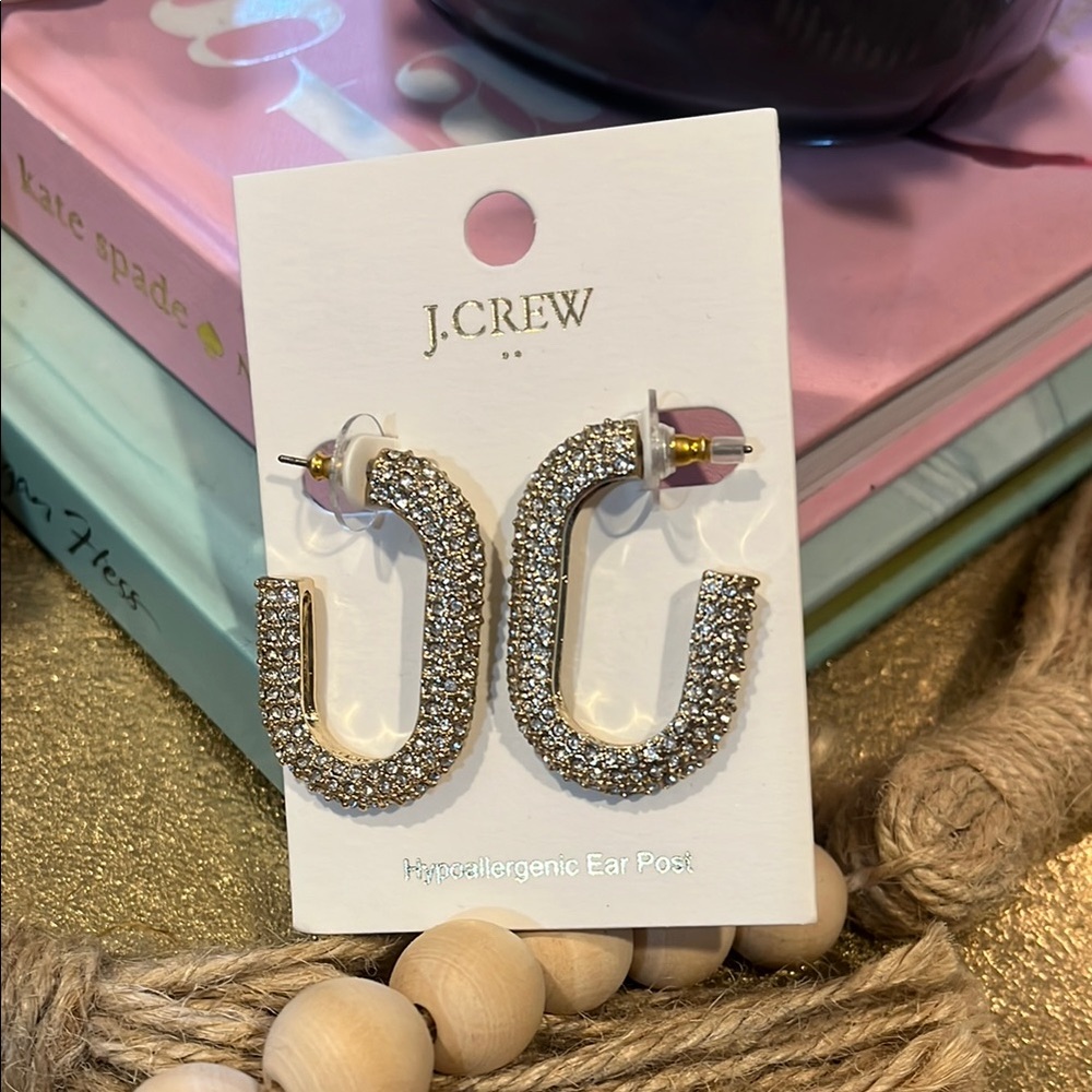 J. Crew Silver Crystal Statement Earrings NWT